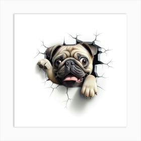 Pug Peeking Through A Hole Art Print