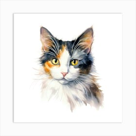 Bicolor Cat Portrait 3 Art Print