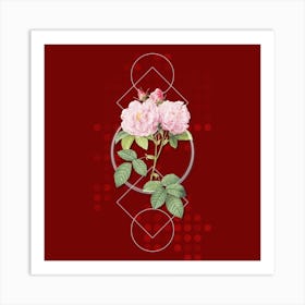 Vintage Italian Damask Rose Botanical with Geometric Line Motif and Dot Pattern n.0219 Art Print
