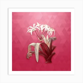 Vintage Crinum Erubescens Botanical in Gold on Viva Magenta n.0720 Art Print