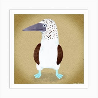 Blue Footed Booby Bird Square Art Print