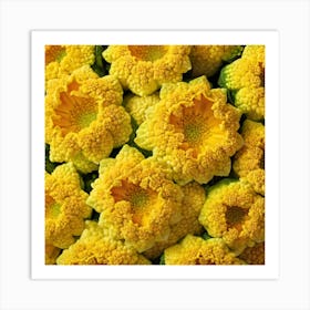 Yellow Cauliflower Art Print