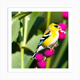 Goldfinch 8 Art Print