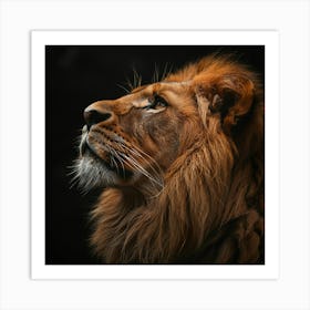 Portrait Of A Lion 1 Art Print