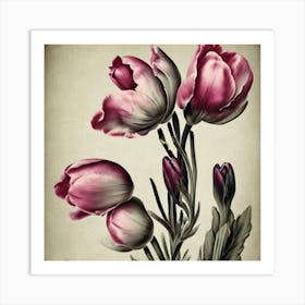 Eustoma Floral Botanical Vintage Poster Flower Art Print Pink Tulips Art Print