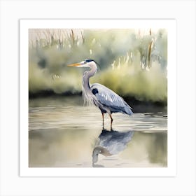 Great Blue Heron Watercolour 1 Art Print