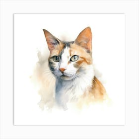 Oriental Bicolour Cat Portrait Art Print