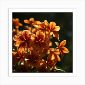 Orange Flowers 1 Art Print