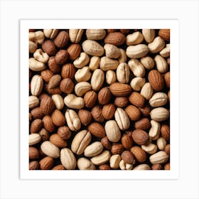 Nuts On A Black Background 3 Art Print