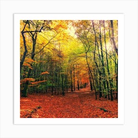 Autumn Forest Photo Art Print