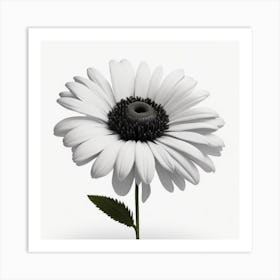 Black And White Daisy myluckycharm Art Print