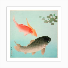 Common And Golden Carp (1935) Art Print