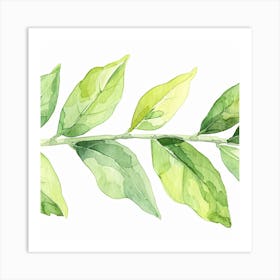 Watercolor Leaf Art Print