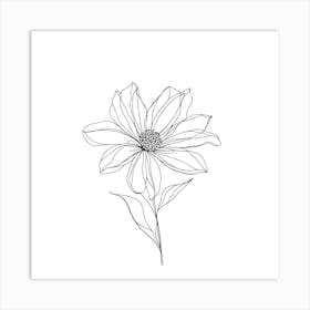 Cosmos Flower 8 Art Print