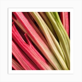 Rhubarb 13 Art Print