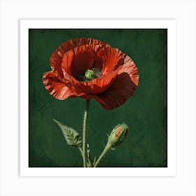 Red Poppy 1 Art Print