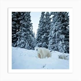 Firefly Bear, Mama, Cubs, Snow, Winter, Beautiful, Wildlife, Family, Nature, Forest, Snowy, Serene, (11) Art Print