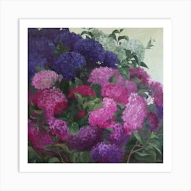 Hydrangeas In The Garden Art Print