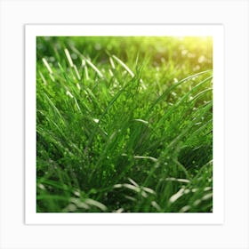 Grass In The Sun Art Print