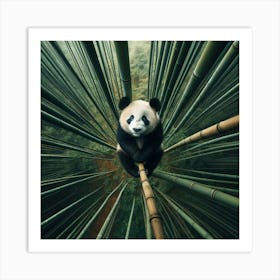 Panda In Bamboo Forest 1 Art Print