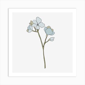 White Flowers On A Black Background Art Print