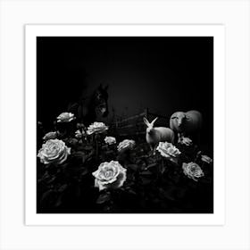 Black And White Roses 2 Art Print