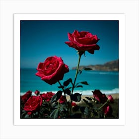 Roses On The Beach 13 Art Print