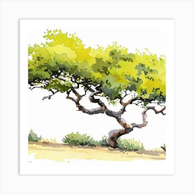 California Tree Art Print