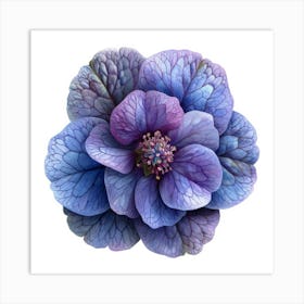 Blue Hellebore Flower 2 Art Print