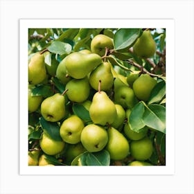 Pears On A Tree Art Print