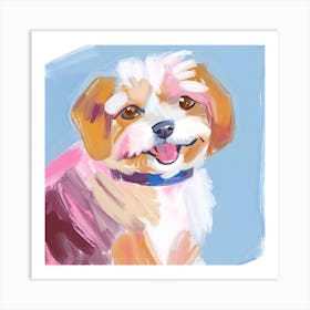 Havanese 03 Art Print