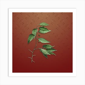 Vintage European Nettle Tree Botanical on Falu Red Pattern n.2504 Art Print