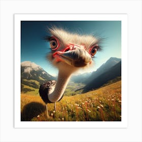 Ostrich 6 Art Print