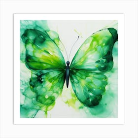 Butterfly 7 Art Print