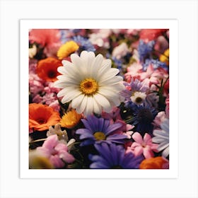 Colorful Flowers Art Print