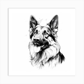 Black and White German Shepherd drawing 2 Art Print