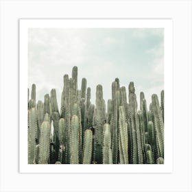 Cactus Forest Square Art Print