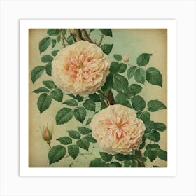 Victorian Roses Art Print