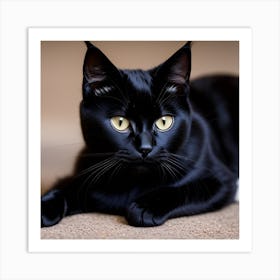 Black Cat Art Print