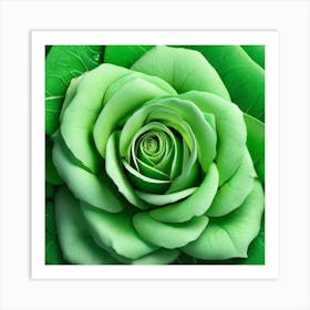 Green Rose 2 Art Print