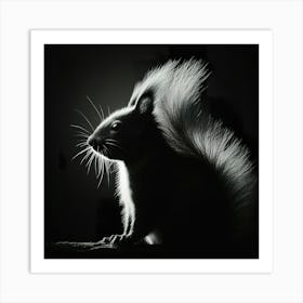 Black And White Squirrel 2 Art Print