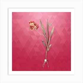 Vintage Ixia Miniata Botanical in Gold on Viva Magenta n.0294 Art Print