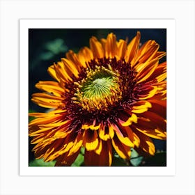 Sunflower - Sunflower Stock Videos & Royalty-Free Footage Art Print