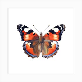 Butterfly On A White Background Art Print