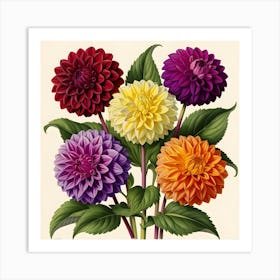 Dahlias 8 Art Print