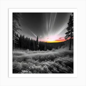 Infrared Photography 1 Art Print