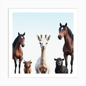 Group Of Horses And Goats 1 Art Print