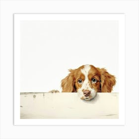 Setter Irish Red Art Print