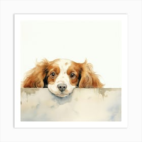 Spaniel Sussex 1 Art Print