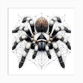 Tarantula - Abstract Line Art Illustration 122 Art Print